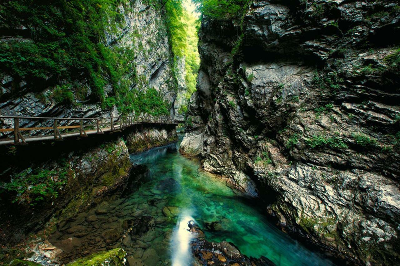 Hostel Bled Paradise Slovenia المظهر الخارجي الصورة
